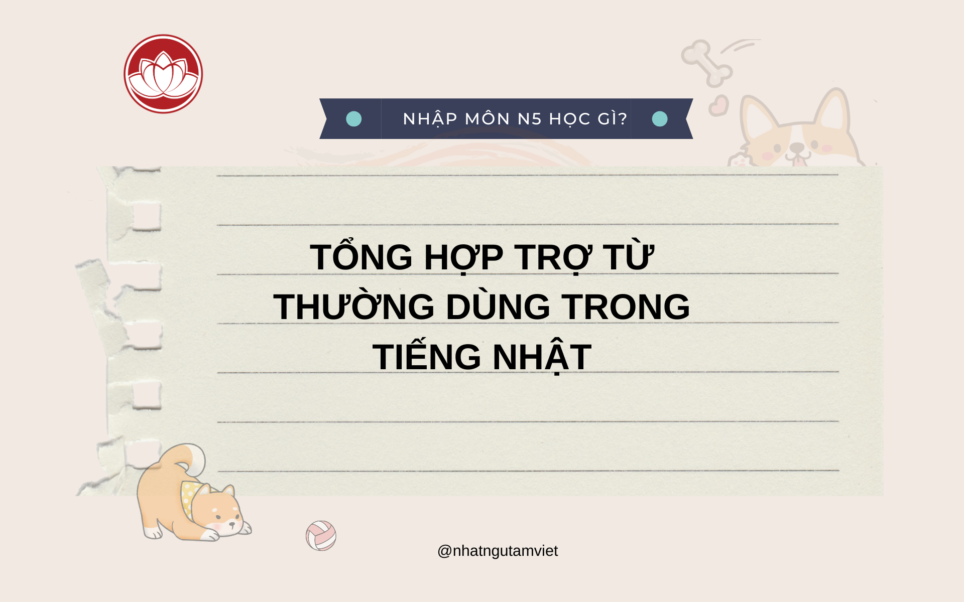TỔNG HỢP TRỢ TỪ THƯỜNG DÙNG TRONG TIẾNG NHẬT 1 1 5