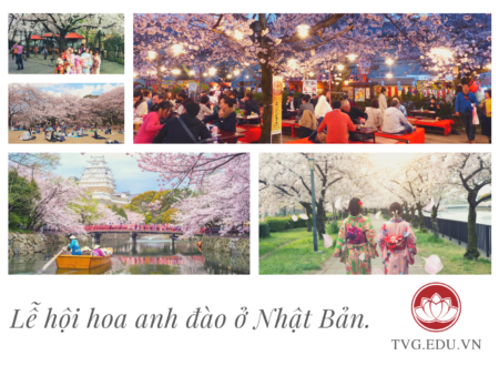 le-hoi-hoa-anh-dao-nhat-ban