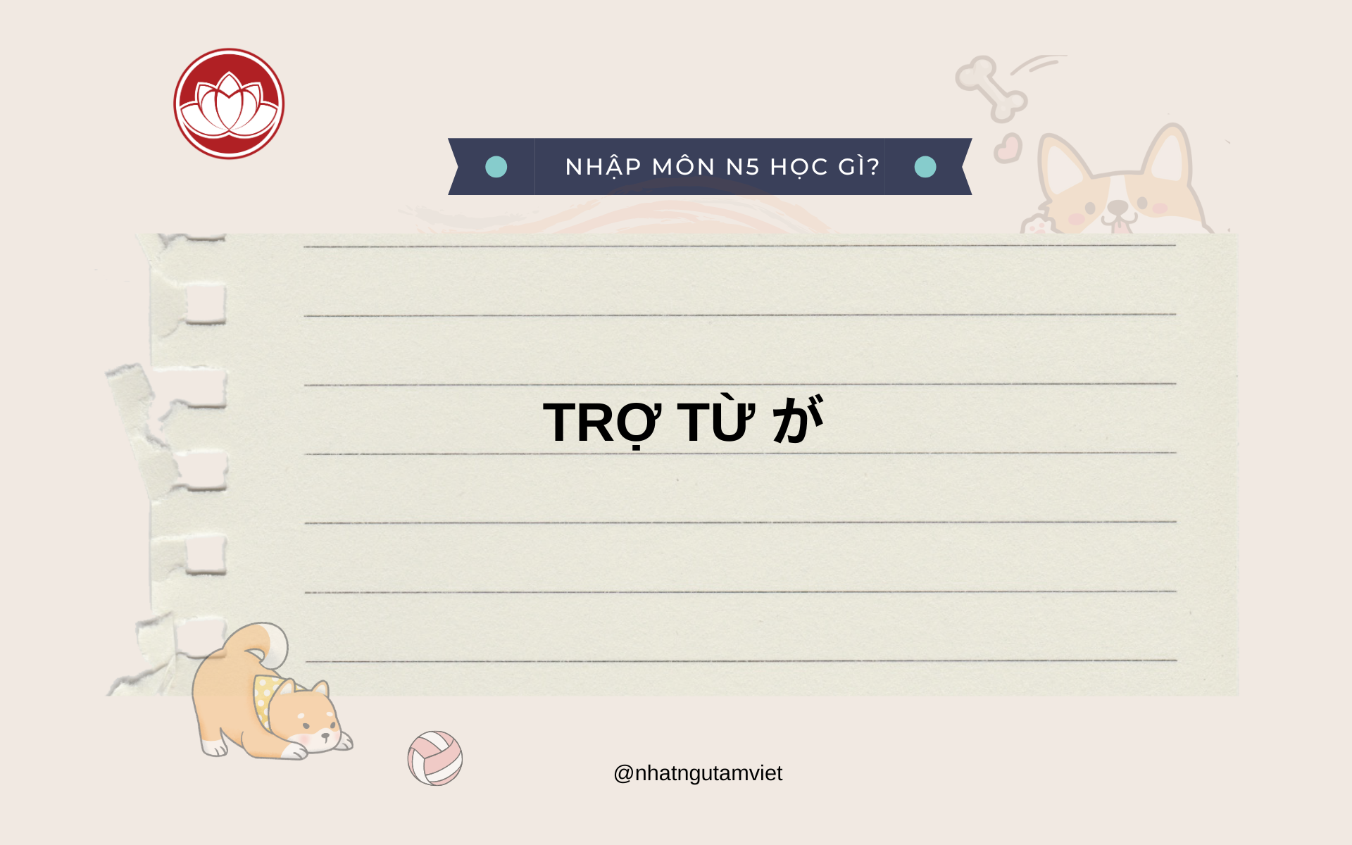 TỔNG HỢP TRỢ TỪ THƯỜNG DÙNG TRONG TIẾNG NHẬT 3 3 3
