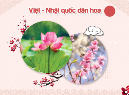 việt nhật quốc dân hoa