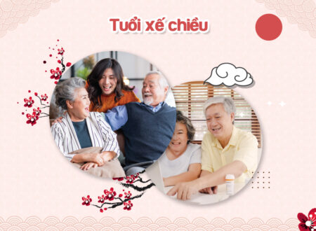 người cao tuổi việt nhật