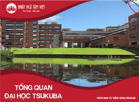 Thumb tong quan dai hoc Tsukuba