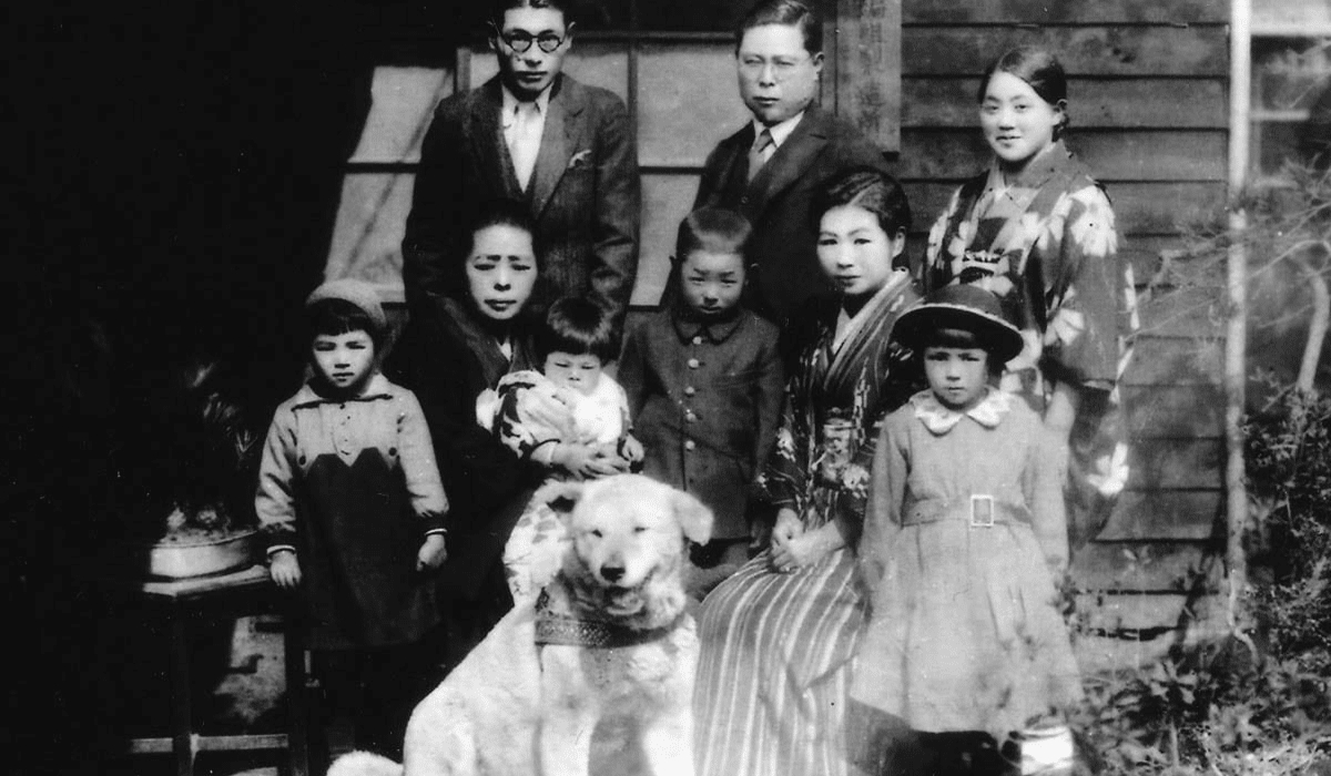 "Hachiko - Chú chó đợi chờ" nổi tiếng trên toàn thế giới 4 Sau khi giáo sư mất, Hachiko nhiều lần chuyển chủ (Nguồn: Sưu tầm)
