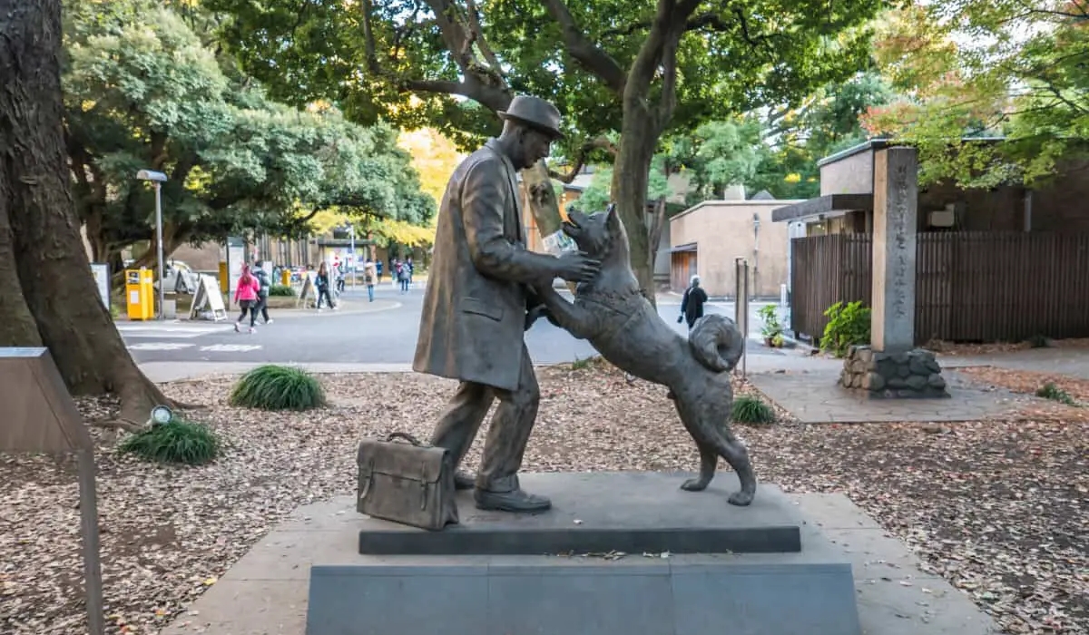 "Hachiko - Chú chó đợi chờ" nổi tiếng trên toàn thế giới 6 Tượng Hachiko "gặp lại" giáo sư Ueno (Nguồn: Sưu tầm)