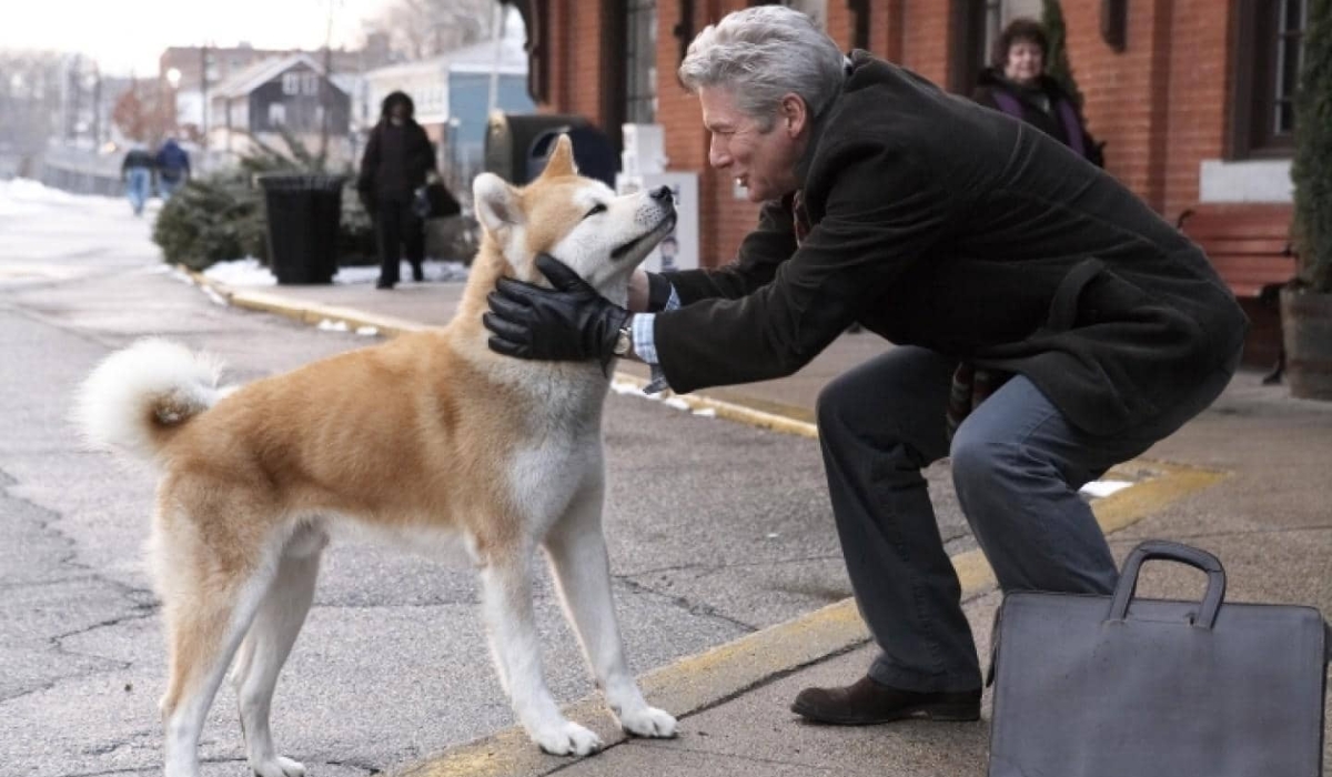 "Hachiko - Chú chó đợi chờ" nổi tiếng trên toàn thế giới 7 Bộ phim cảm động về Hachiko và giáo sư (Nguồn: Sưu tầm)