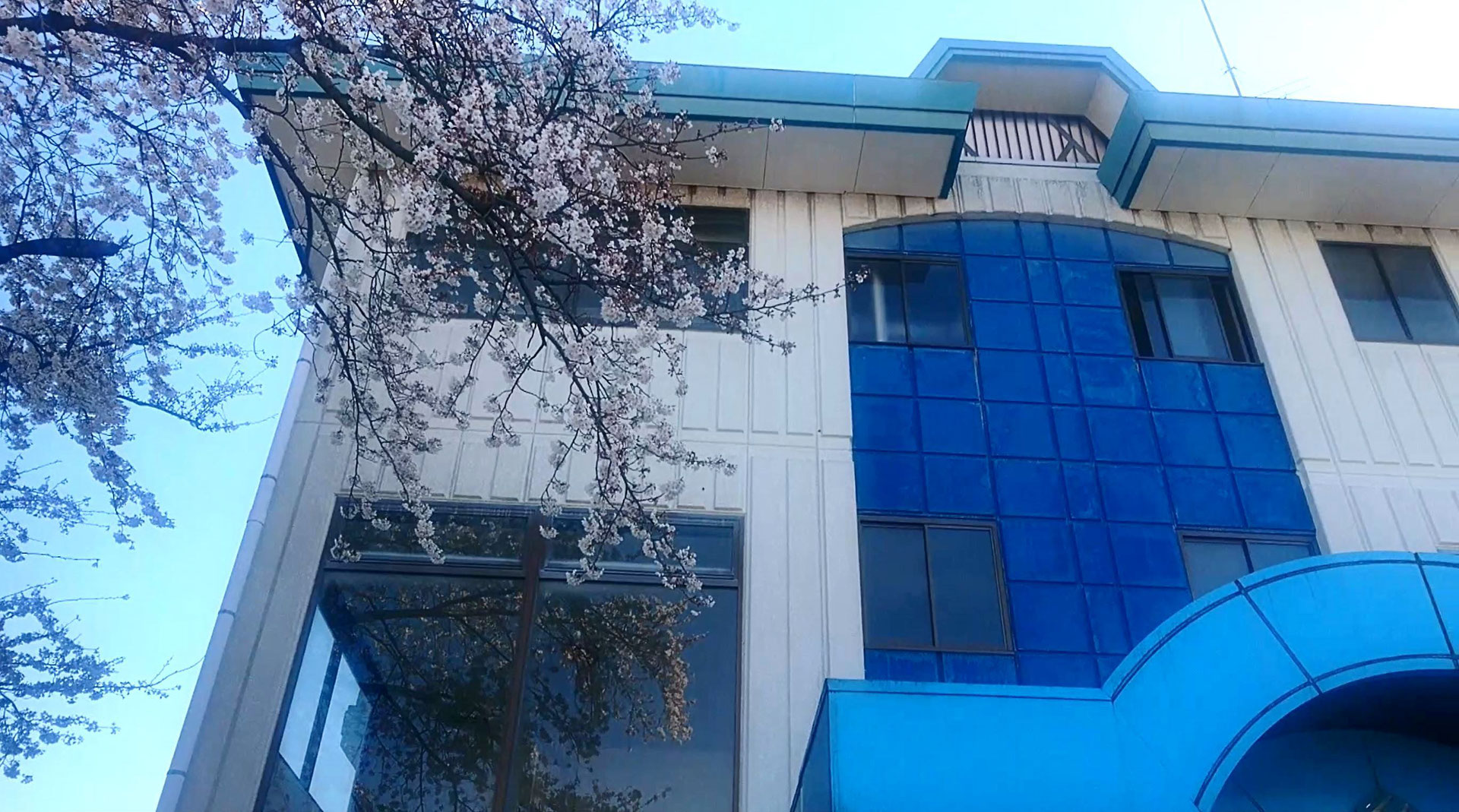 Học viện Quốc tế Miyabi